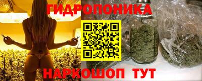 индика Апшеронск