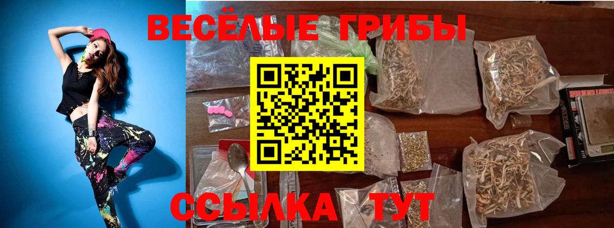 Галлюциногенные грибы Cubensis  Вход с VPN  Псилоцибиновые грибы MAGIC MUSHROOMS  Великий Устюг 